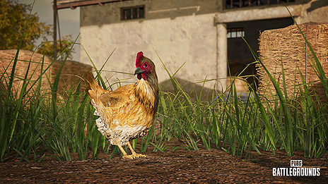 ꡼ No.005 | PUBG: BATTLEGROUNDSפΥåץǡ14.2»ܡǡDBNO SwimmingɡTaegoޥåפؤΡȷܡɼʤ