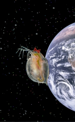 大怪獣ミジン娘 ～0.1mmから始める世界征服ミジンコ育成～［iPhone