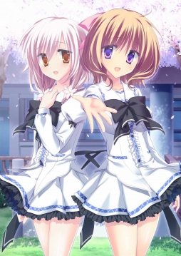 ꡼ No.012 | PriministAr -ץ饤ߥ˥-סŹŵκ̿饹Ȥ