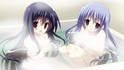 ꡼ No.010 | NOeSIS פۿ930٥CGȥ꡼󥷥åȤ