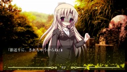 ꡼ No.017 | NOeSIS פۿ930٥CGȥ꡼󥷥åȤ