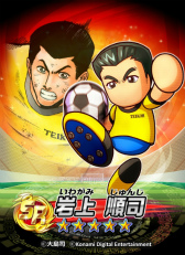 ���������꡼ No.012�Υ���ͥ������ / �֥ѥ掠���סȵ��ݲ����ɤ����褹�����⹻�Ԥθ���롼�Ȥ�����