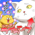 �ѥå�����