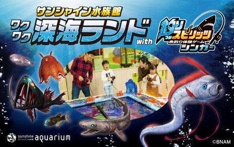 ꡼ No.014 | ˿ءθꥹԥå 󥫡ײƯϡꥹ-NETӥ⥹