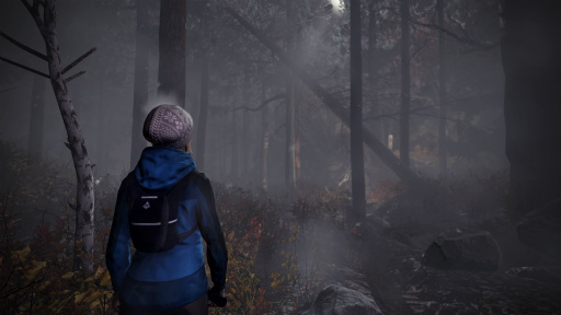 画像ギャラリー No.002のサムネイル画像 / 北欧神話やノルウェーの民話をベースにしたサイコホラー「Through the Woods」が2016年10月リリース