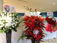 ꡼ No.006Υͥ / Ĥκˤ!!̵ ͥ 2016ġƤοءݡ