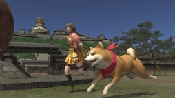 ꡼ No.006 | ֿĹ˾ OnlineפȡֿĹ˾ 201Xפֿ̡ĥʥĹפȤΥܤŷ