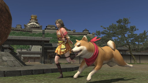 画像ギャラリー No.002のサムネイル画像 / 「信長の野望 Online」で「織田シナモン信長」コラボ企画が開催。犬の信長が出現