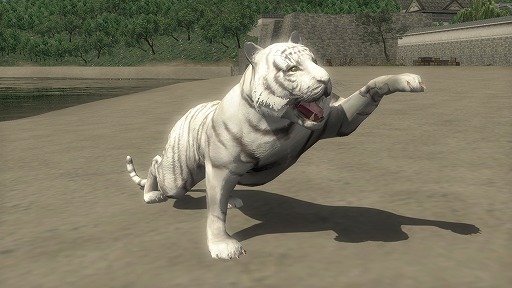 ꡼ No.005 | ֿĹ˾ Onlineס10åץǡȤ»ܡϲµܤ˿ʳؤо