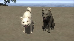 ꡼ No.006 | ֿĹ˾ Onlineס10åץǡȤ»ܡϲµܤ˿ʳؤо