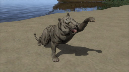 ꡼ No.005 | ֿĹ˾ Online׿륢åץ졼ɤǰưƳϤо