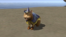 ꡼ No.013 | ֿĹ˾ Onlineס륢åץ졼 ʸפ