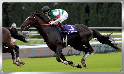 ꡼ No.010 | ޥۤǶϤ̣̣浪꡼ǿWinning Post ꥪפӥ򳫻