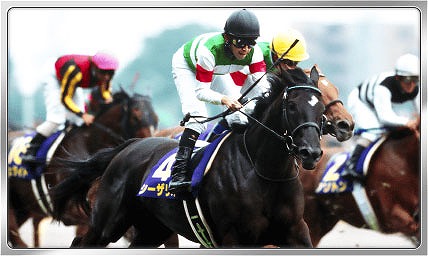 ꡼ No.002Υͥ / Winning Post ꥪסڥ뵳̾꤬о