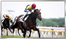 ꡼ No.003 | Winning Post ꥪס15DL˵ǰڡ򳫺