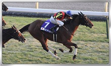 ꡼ No.006 | Winning Post ꥪס15DL˵ǰڡ򳫺