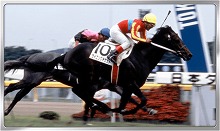 ꡼ No.008 | Winning Post ꥪס15DL˵ǰڡ򳫺