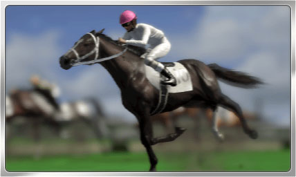 ꡼ No.005 | Winning Post ꥪס20DLǰƥܡʥ»