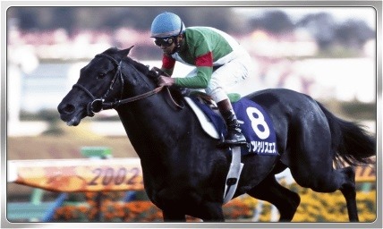 ꡼ No.005 | Winning Post ꥪס1ǯǰ祭ڡ򳫻ϡǶϷ郎