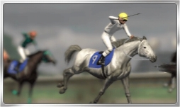 ꡼ No.006 | Winning Post ꥪסӤβʪȥꥭåסɤо