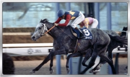 ꡼ No.009 | Winning Post ꥪסӤβʪȥꥭåסɤо