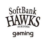 ���������꡼ No.007�Υ���ͥ������ / ��RAGE Shadowverse Pro League 20-21�����������1�᤬6��14����곫��