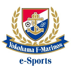 ���������꡼ No.009�Υ���ͥ������ / ��RAGE Shadowverse Pro League 20-21�����������1�᤬6��14����곫��