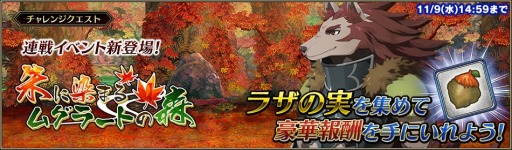 画像ギャラリー No.010のサムネイル画像 / 「ブレイジング オデッセイ」五剣聖最後の1人「シグ」が登場する「ピックアップ召魂!」を実施