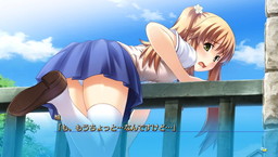 ꡼ No.005 | ֤ϥꥱ PortableפθǤۿϡʪνפץ쥤ǽ