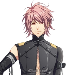 ꡼ No.002 | ķϺȥȥᥤȤåȤץ֥󥹥ȥåץפ2016ǯۿͽꡣϿ»