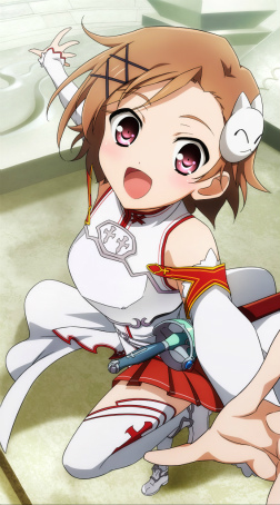 ꡼ No.005Υͥ / ֥롦 EOBפˤơSAO ɡ쥸ץܤ»