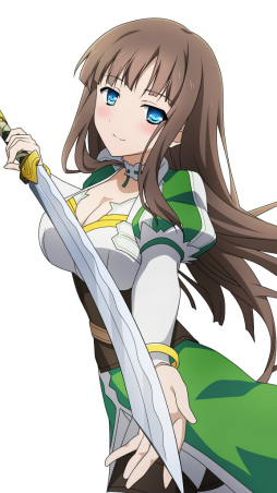 ꡼ No.006Υͥ / ֥롦 EOBפˤơSAO ɡ쥸ץܤ»