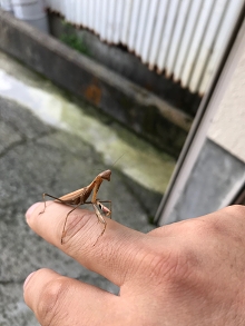 ꡼ No.073 | ⤦Ȳ򤹤ФʬʤɤȤϸ碌ʤפɸץ쥤⤹֥饰ޥTIPS