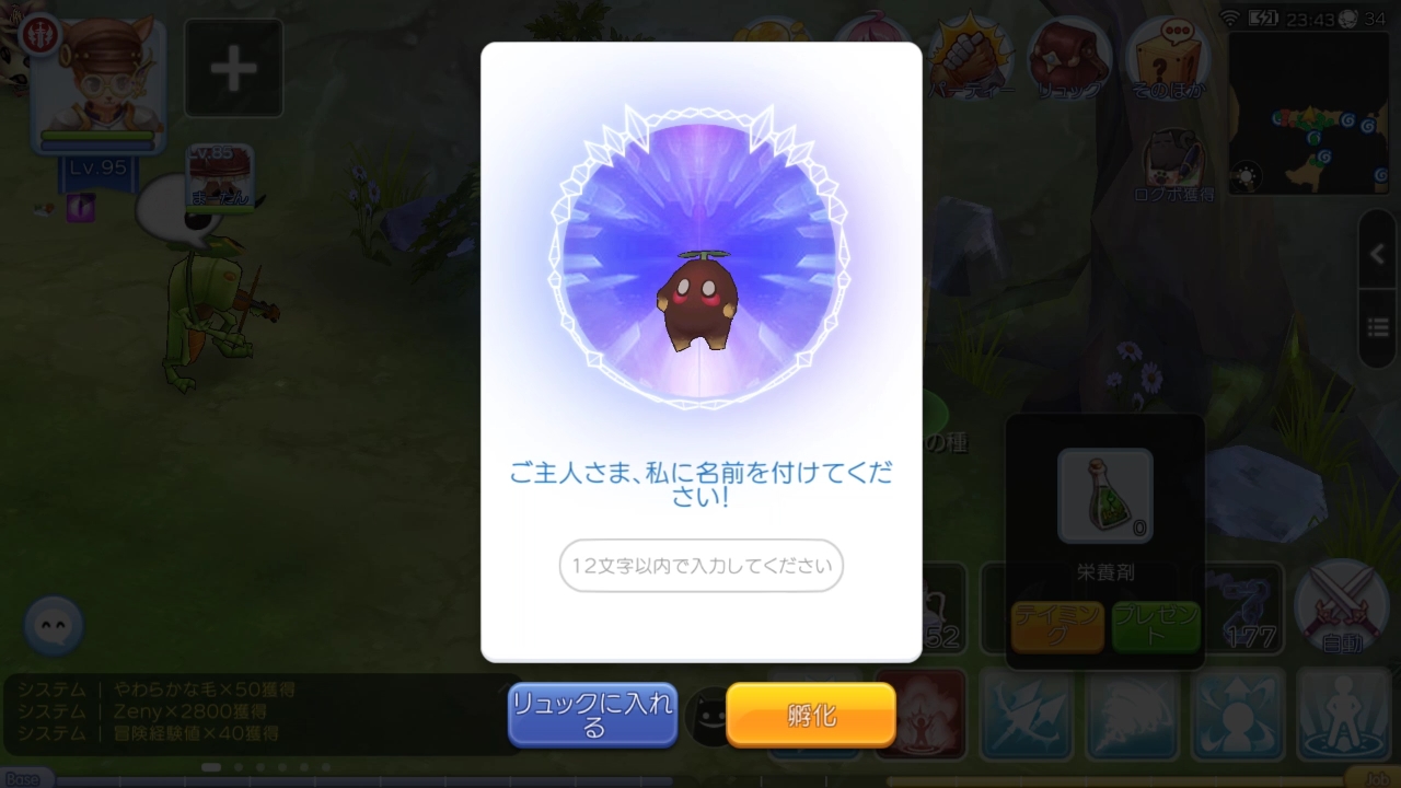 画像集 027 目指せ ラグマス のペットマスター プレイ日記その16 レアな捕獲アイテム