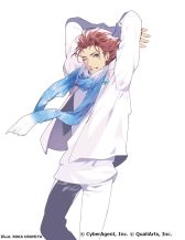 ꡼ No.008 | ֥ܡեɡʲˡפ饹ȤSKY CIRCUS 󥷥㥤60Ÿ˾о