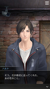 ꡼ No.036 | ߥ˥⼺Ԥʤ饹ۤδּΥѥޡפץ쥤ݡ