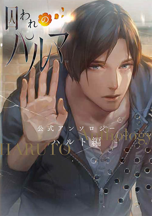 画像ギャラリー No.001 | 「囚われのパルマ」ハルト&アオイの着せ替え 画像ギャラリー No.001 | 「囚われのパルマ」ハルト&アオイの着せ替え