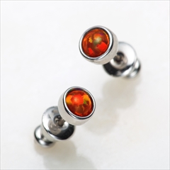 ���������꡼ No.002�Υ���ͥ������ / �ּ����Υѥ�ޡפΥԥ����ȥ����󥰡��Х󥰥뤬ȯ�����