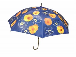 ���������꡼ No.002�Υ���ͥ������ / �ּ����Υѥ�ޡס�2��ǯ���饹�Ȥγ�������ե��å������Ȥ������