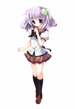 ꡼ No.008 | ۥ顼ɥ٥㡼NOeSIS Ǥʪץޥ۸ۿ