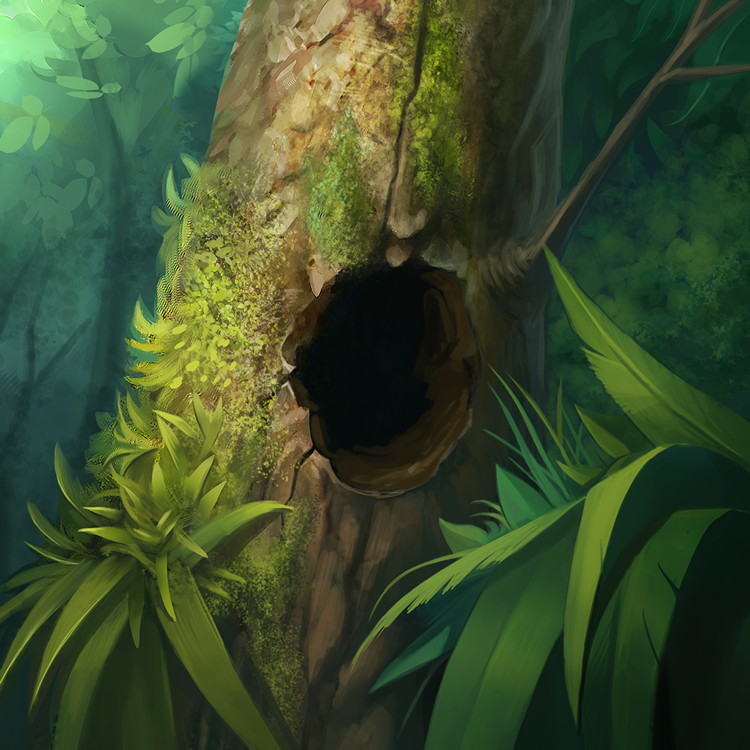 ꡼ No.006 | ֥ǥ奨  ޥʡפɲåɥåȡȥ᥷ äϡɤ76˥꡼ϻΩƤΥȡ꡼٥ȤⳫ