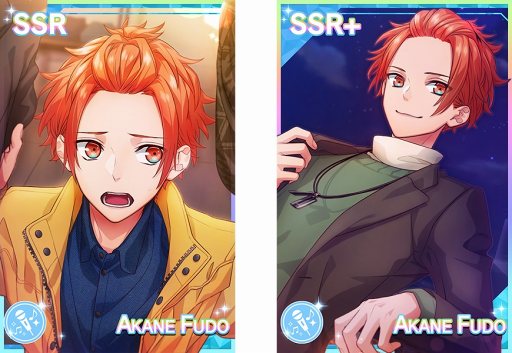 ꡼ No.004 | ̵Ũǥ󥸥饹ס1030ưо줹֥СǡPHOTO о