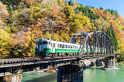 ꡼ No.004 | ż֤GOפǽȤʤ쥤ɷ٥ȡֻ뤰륭ڡפ