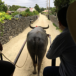 ꡼ No.014 | ޥեĤ󼡸褤330PS4ܥ塼ǥС˥󥰤ޥ֥䡼