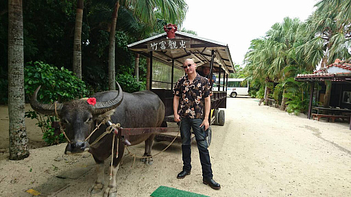 ꡼ No.018 | ޥեĤ󼡸褤330PS4ܥ塼ǥС˥󥰤ޥ֥䡼