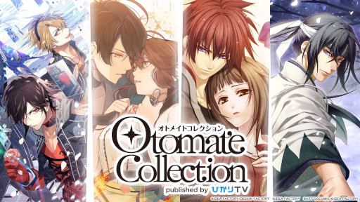 ꡼ No.003Υͥ / ֥饦ǡ֥˥롦ɥߥŷ סȥȥᥤȥ쥯ɤۿ