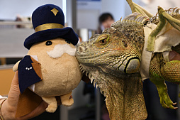 ꡼ No.025Υͥ / CARAVAN STORIESפθϰʸ򤸤ѡɡΥΨ㤤AimingѥؤäʹƤ