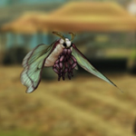 画像ギャラリー No.059のサムネイル画像 / レア度が低くたって戦力になる! 「CARAVAN STORIES」ビーストを仲間にするコツ&★3までのオススメビーストを紹介