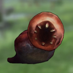 ꡼ No.067Υͥ / Ѥƻڤ󤯡CARAVAN STORIES׿²ԤΥᥤ󥯥ȹάȿӡȾϤ