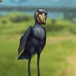 ꡼ No.015 | ©Ϥи֤ʬгھ CARAVAN STORIESץϤ쥢ӡȤȽв񤦤ˡ